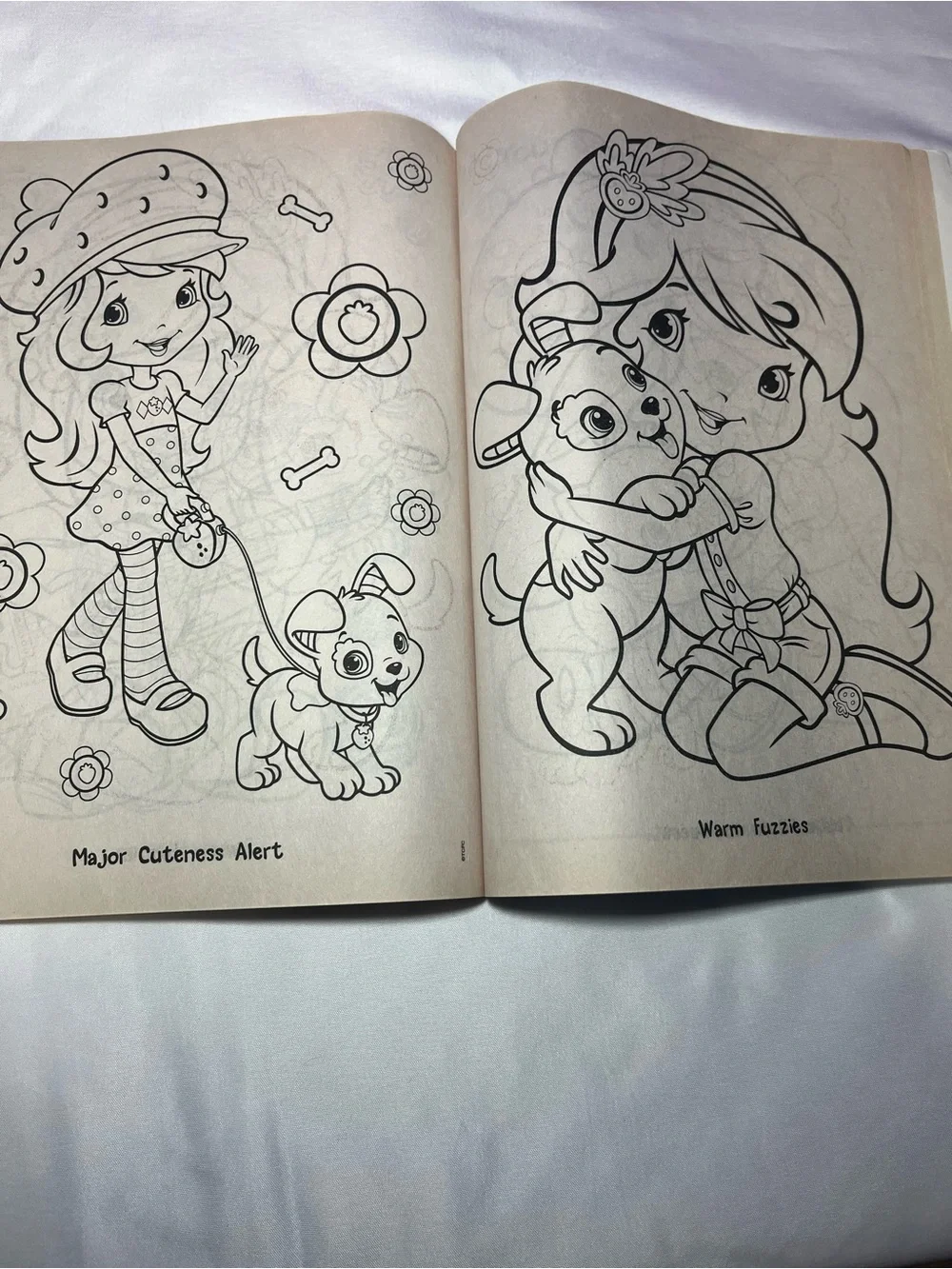 Strawberry Shortcake Big Fun Coloring Book 2014 “Hey, It’s Huck” – Preowned